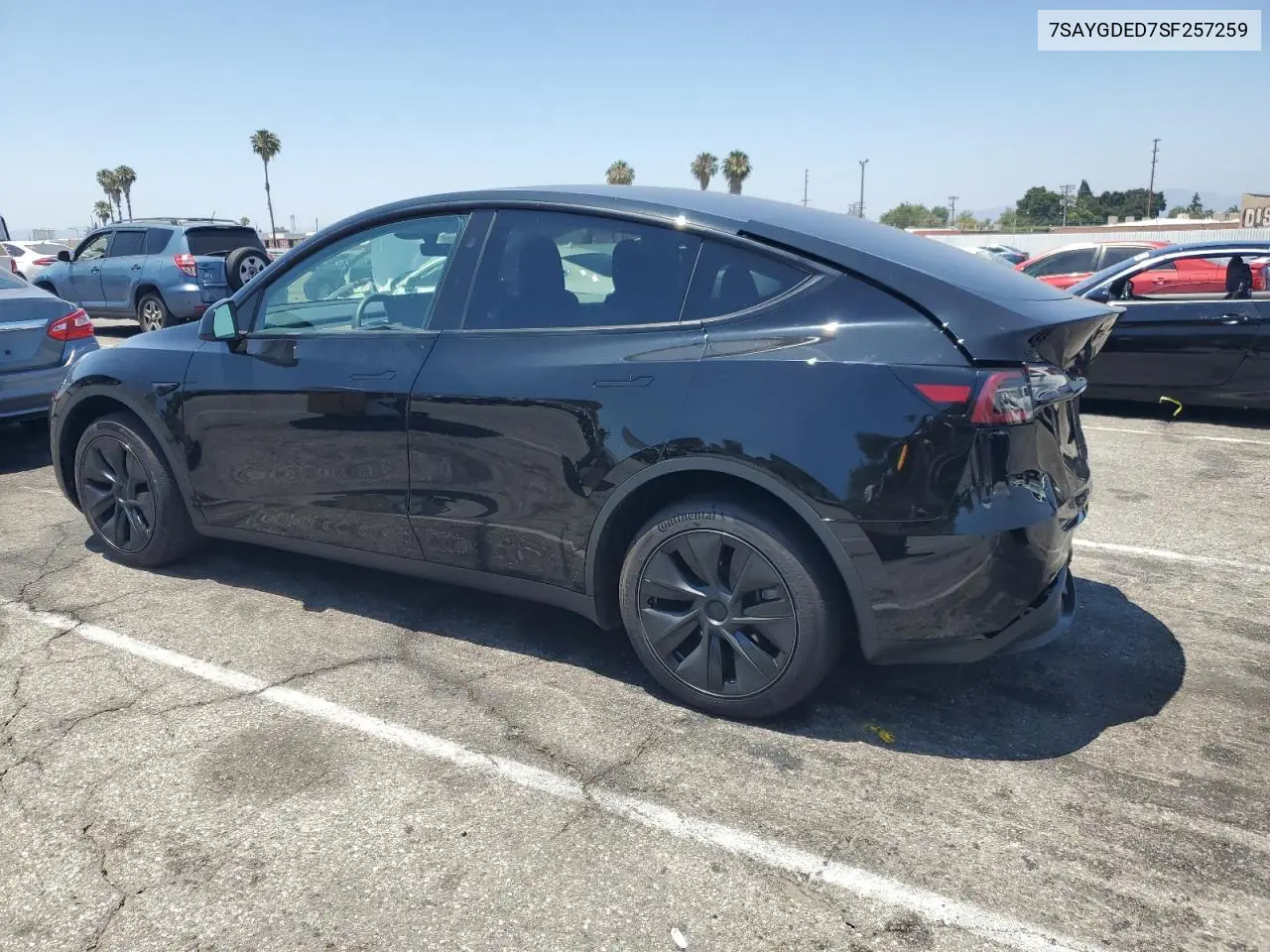 2025 Tesla Model Y VIN: 7SAYGDED7SF257259 Lot: 62929315