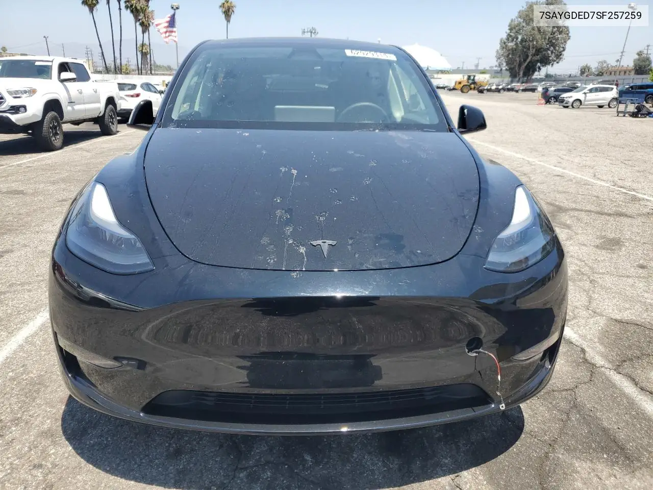 2025 Tesla Model Y VIN: 7SAYGDED7SF257259 Lot: 62929315