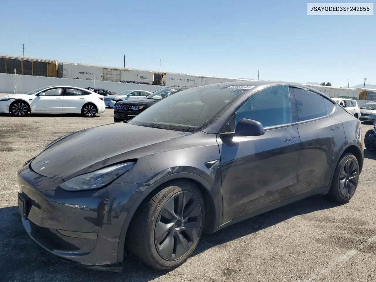 2025 Tesla Model Y VIN: 7SAYGDED3SF242855 Lot: 63055545