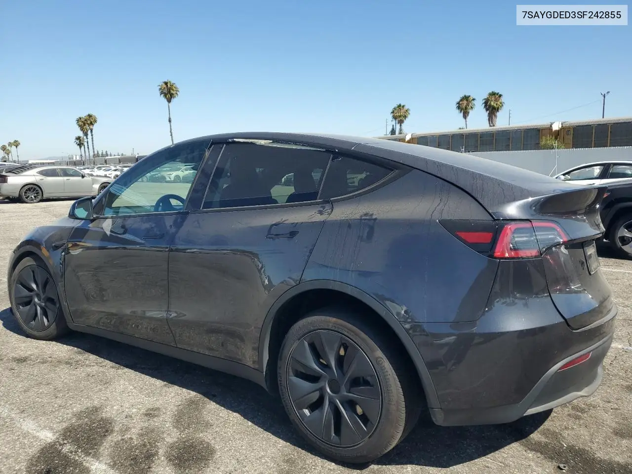 2025 Tesla Model Y VIN: 7SAYGDED3SF242855 Lot: 63055545
