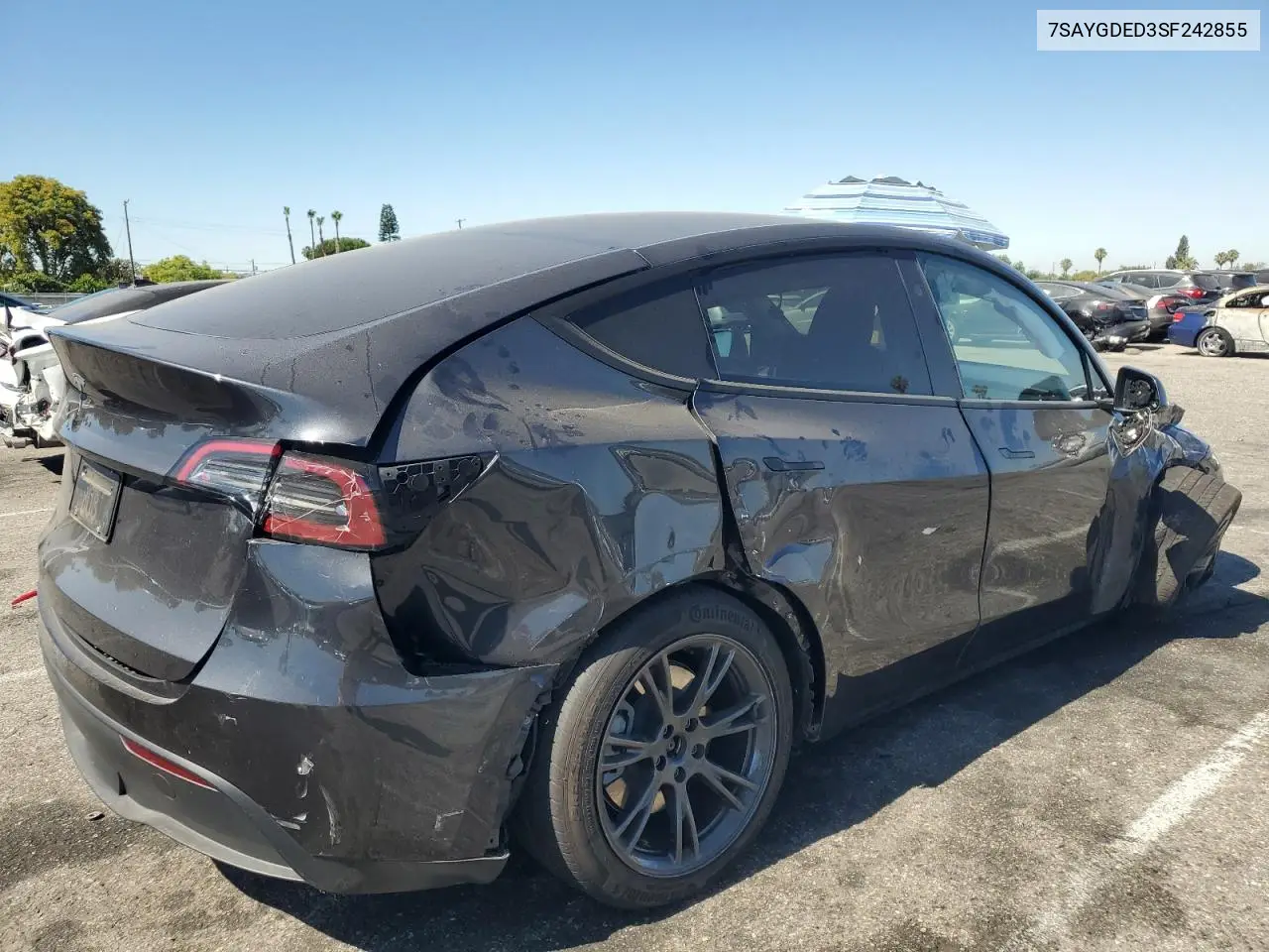 2025 Tesla Model Y VIN: 7SAYGDED3SF242855 Lot: 63055545