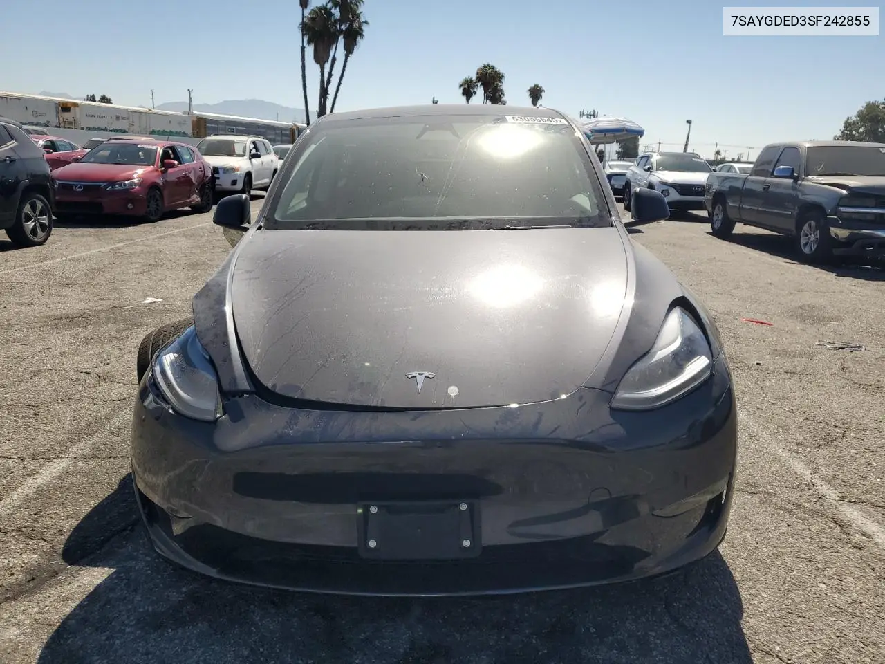 2025 Tesla Model Y VIN: 7SAYGDED3SF242855 Lot: 63055545