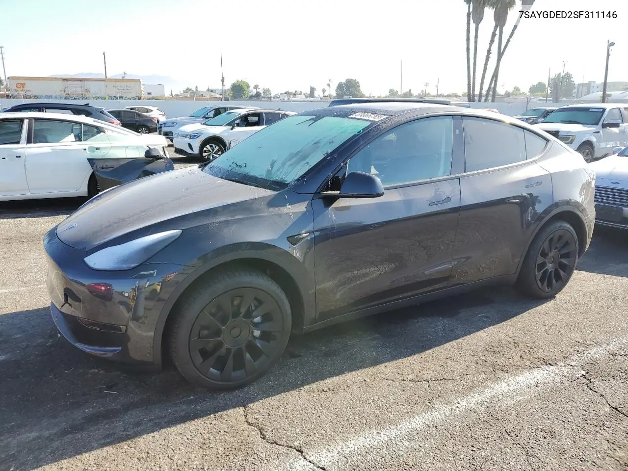 2025 Tesla Model Y VIN: 7SAYGDED2SF311146 Lot: 63065755