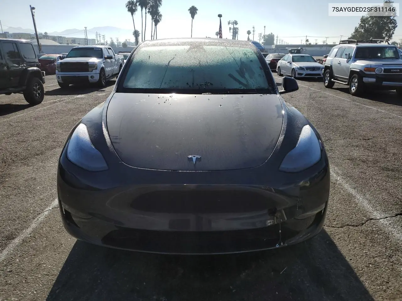 2025 Tesla Model Y VIN: 7SAYGDED2SF311146 Lot: 63065755