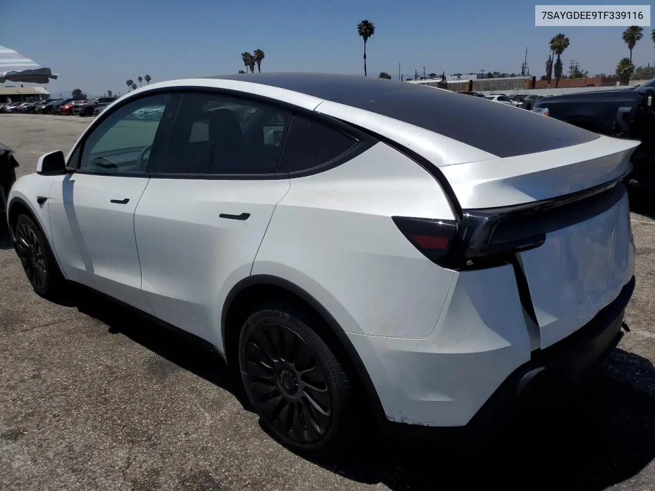 2026 Tesla Model Y VIN: 7SAYGDEE9TF339116 Lot: 62664425