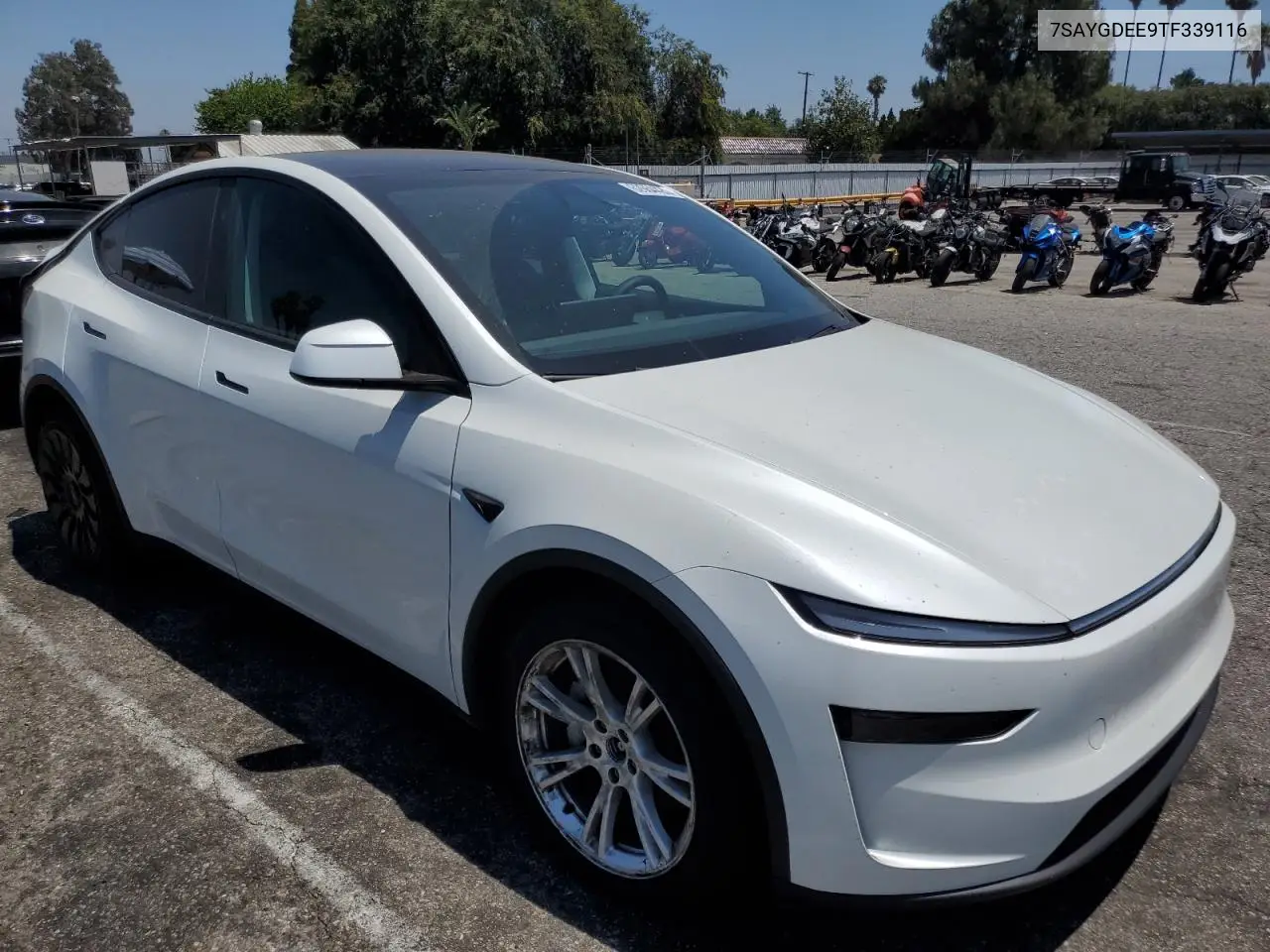 2026 Tesla Model Y VIN: 7SAYGDEE9TF339116 Lot: 62664425