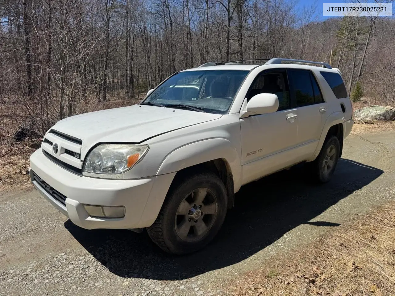 2003 Toyota 4Runner Limited VIN: JTEBT17R730025231 Lot: 57314935