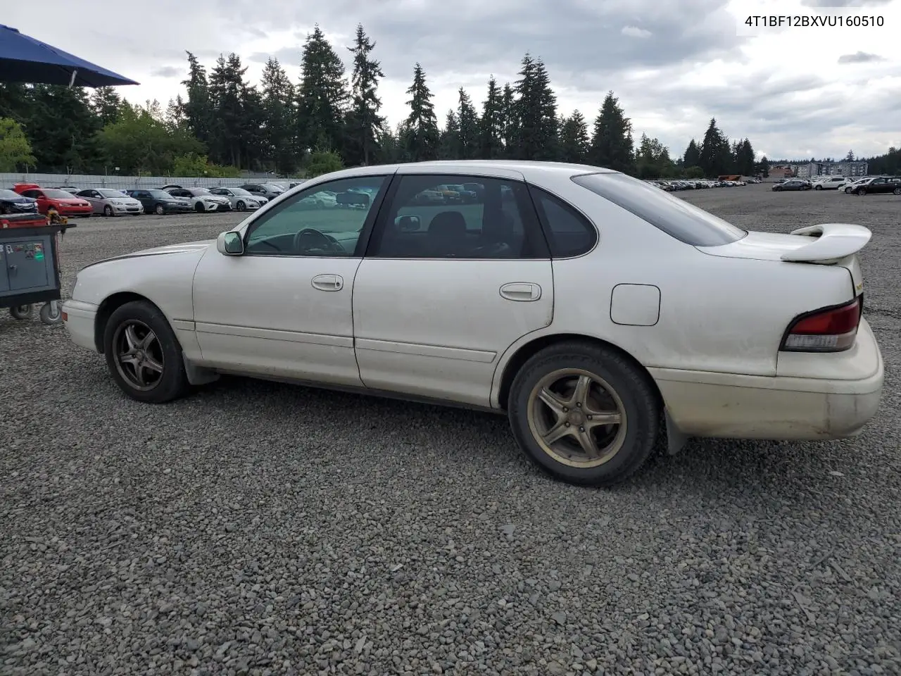 1997 Toyota Avalon Xl VIN: 4T1BF12BXVU160510 Lot: 62873835