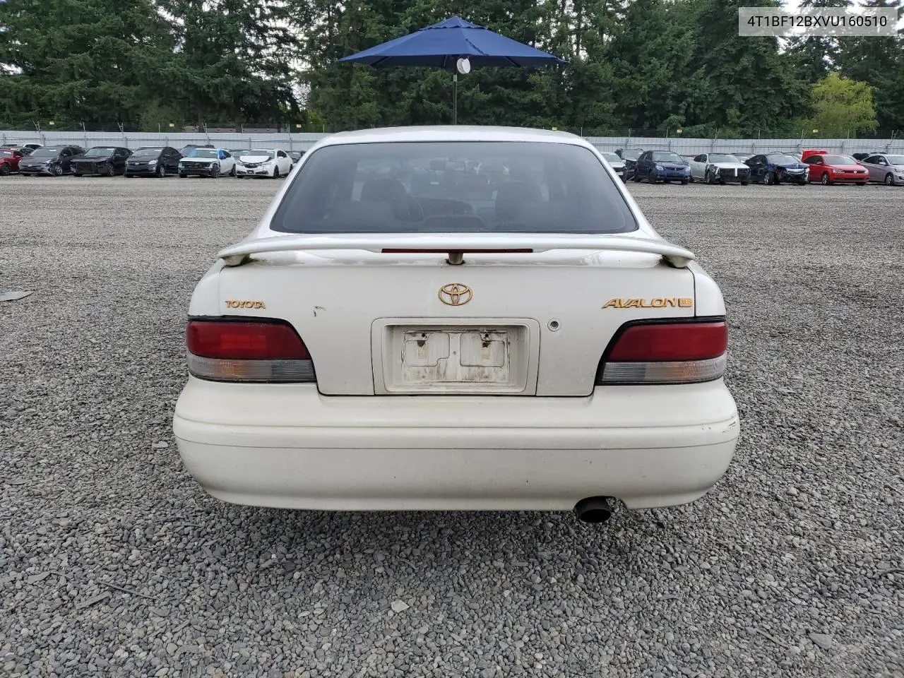 1997 Toyota Avalon Xl VIN: 4T1BF12BXVU160510 Lot: 62873835