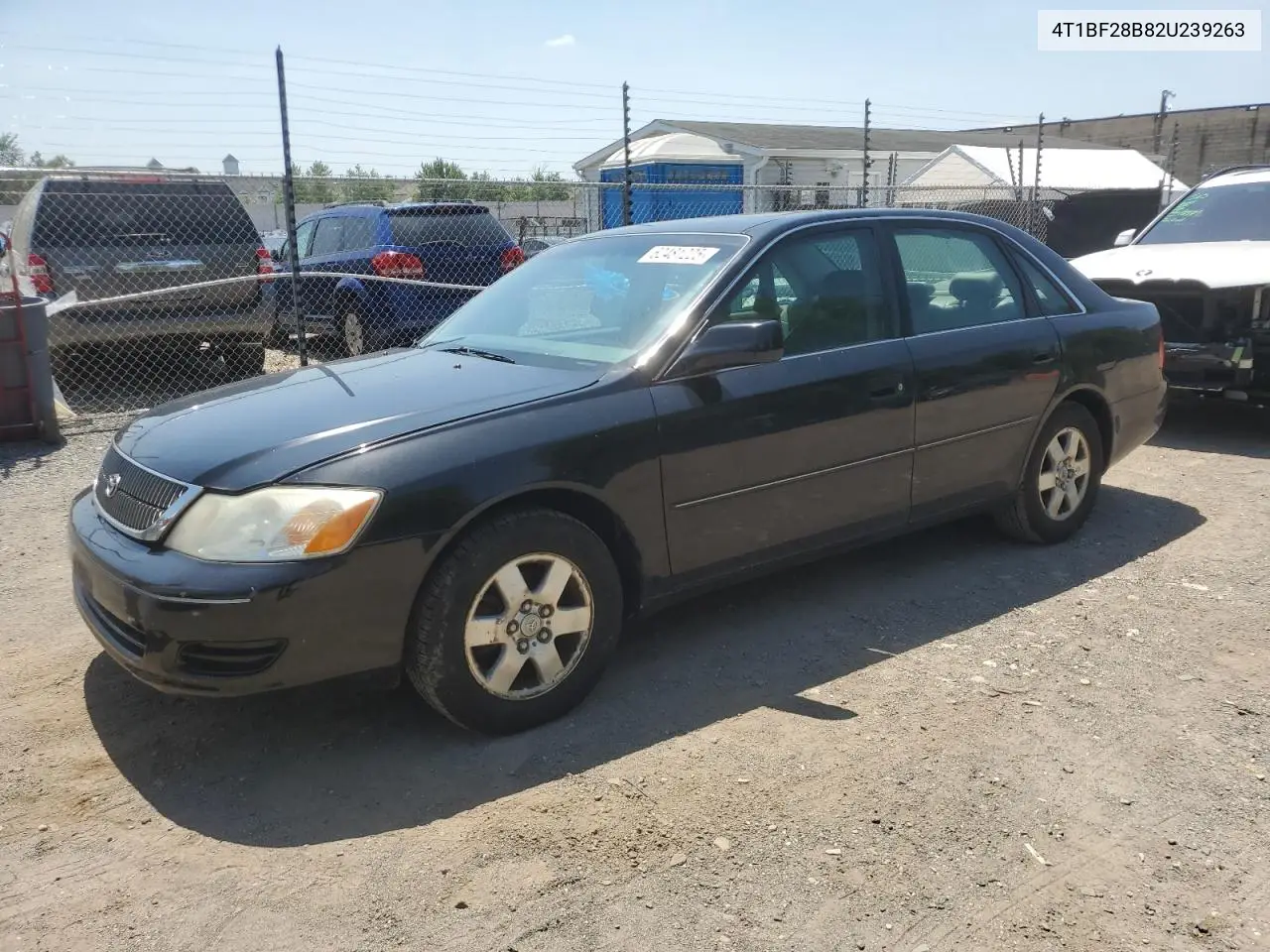 2002 Toyota Avalon Xl VIN: 4T1BF28B82U239263 Lot: 62481225