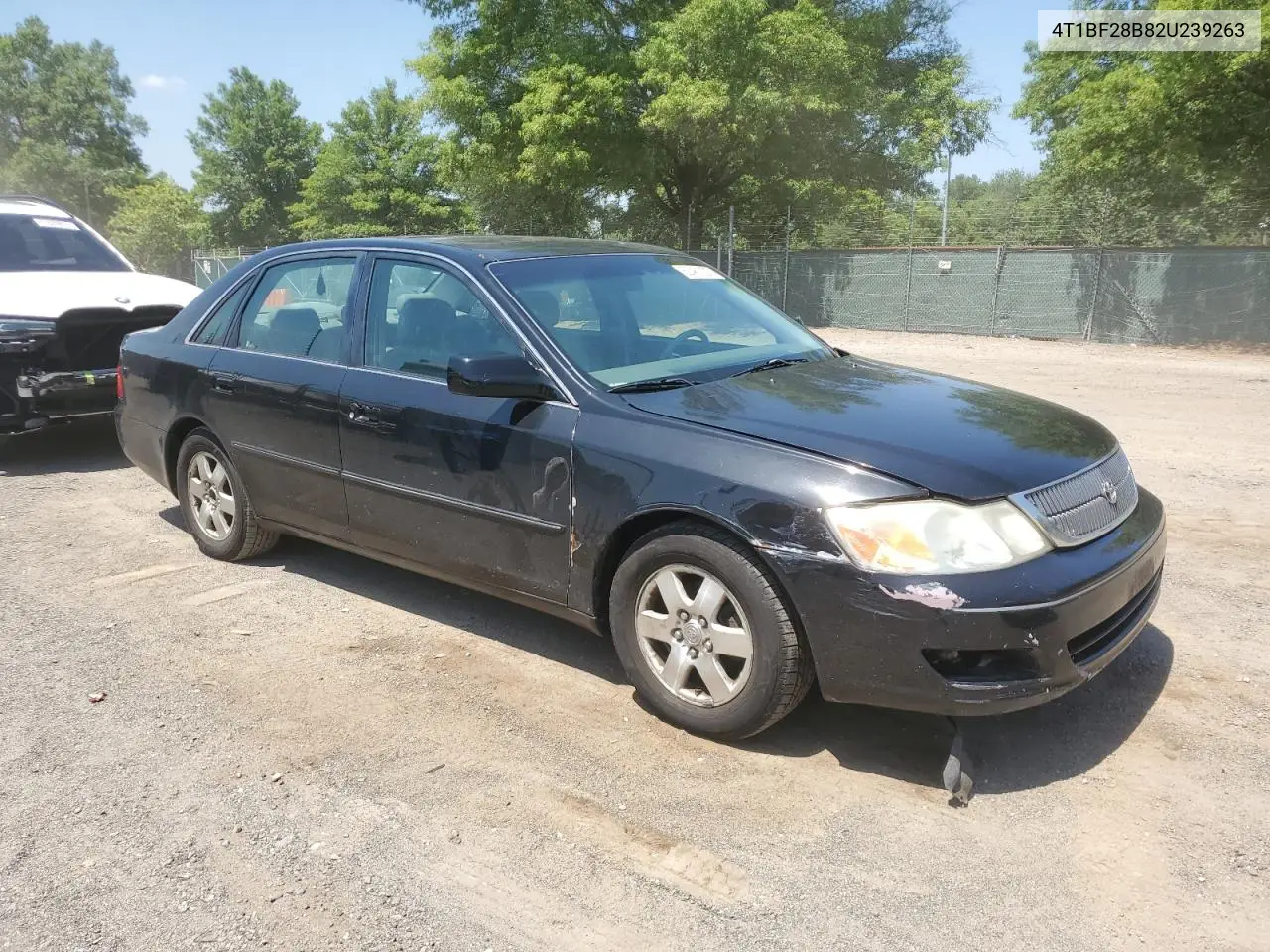 2002 Toyota Avalon Xl VIN: 4T1BF28B82U239263 Lot: 62481225
