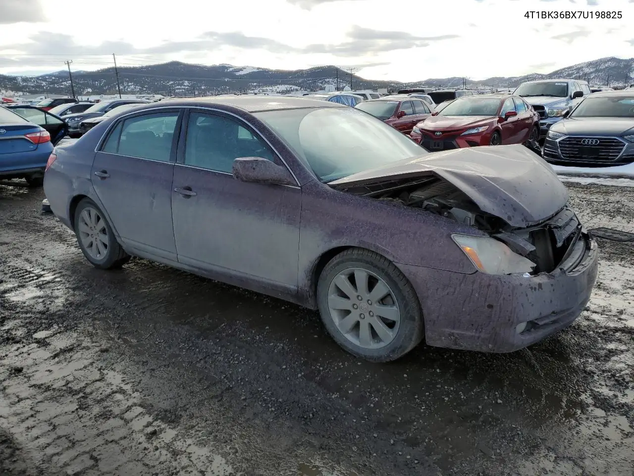 2007 Toyota Avalon Xl VIN: 4T1BK36BX7U198825 Lot: 46775745
