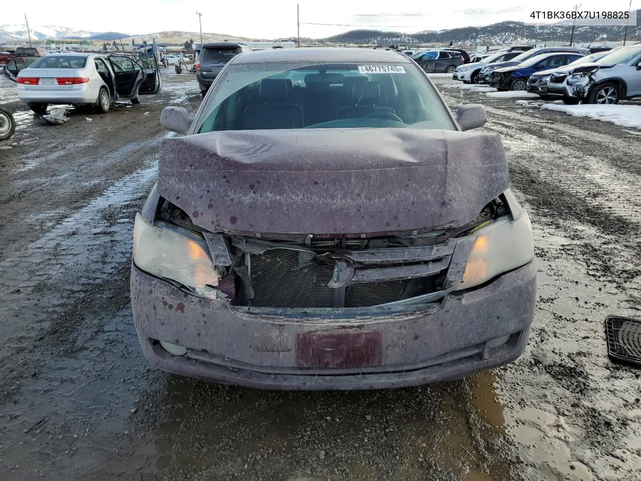 2007 Toyota Avalon Xl VIN: 4T1BK36BX7U198825 Lot: 46775745