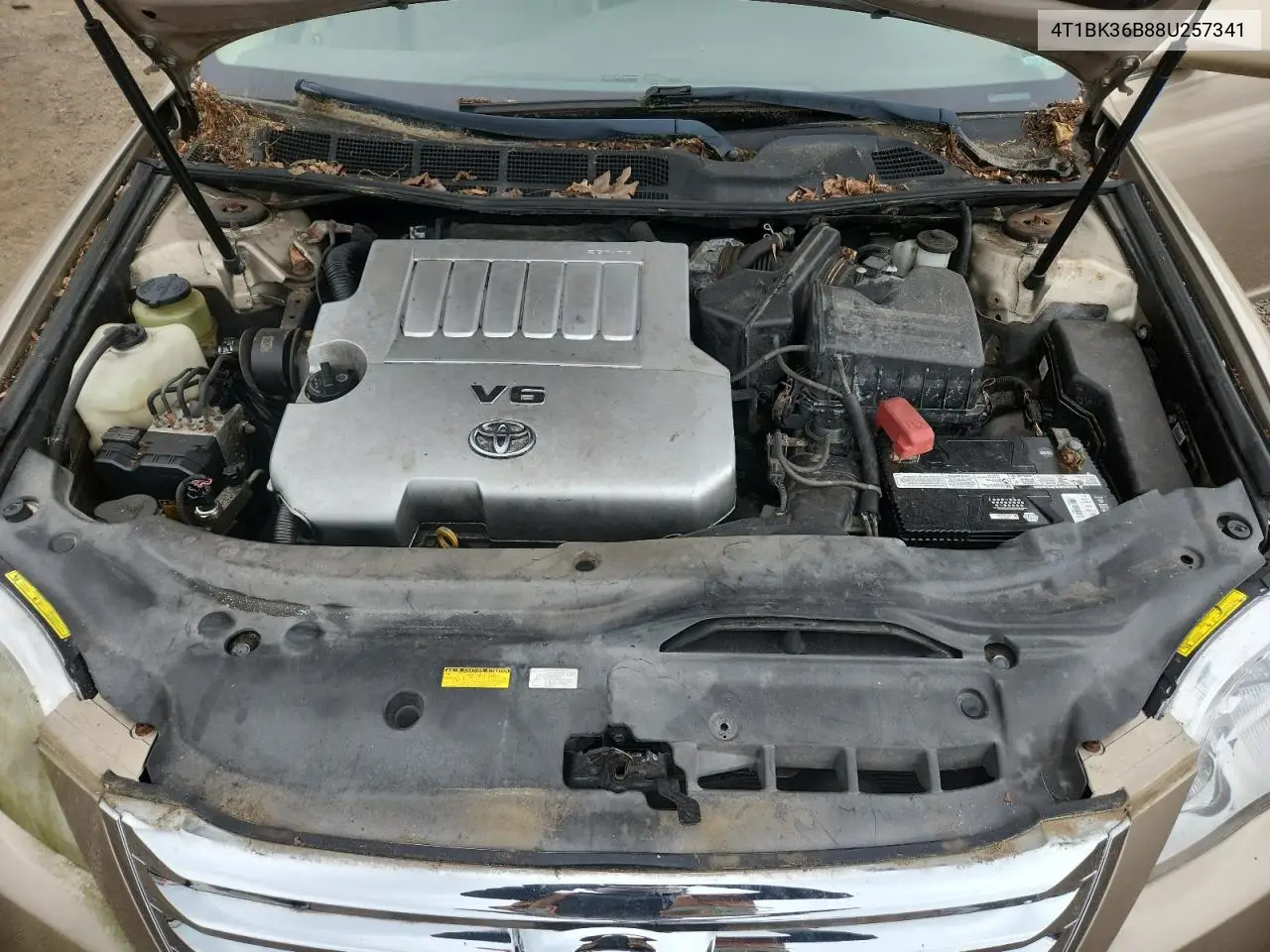 2008 Toyota Avalon Xl VIN: 4T1BK36B88U257341 Lot: 59522675