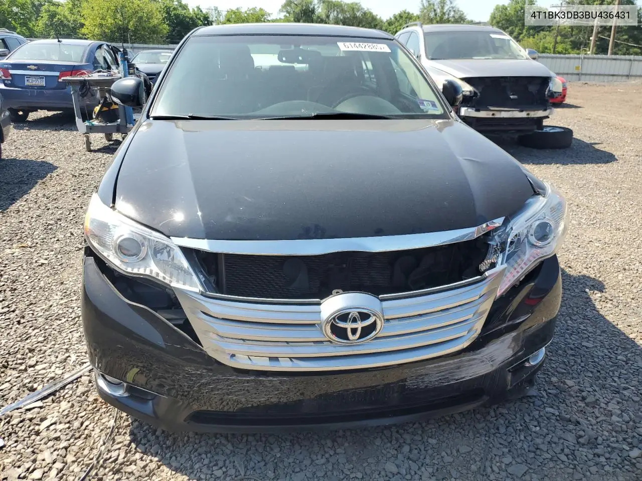 2011 Toyota Avalon Base VIN: 4T1BK3DB3BU436431 Lot: 61442885