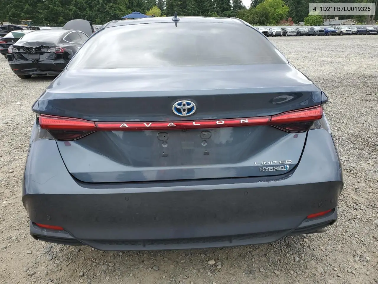 2020 Toyota Avalon Limited VIN: 4T1D21FB7LU019325 Lot: 62378695