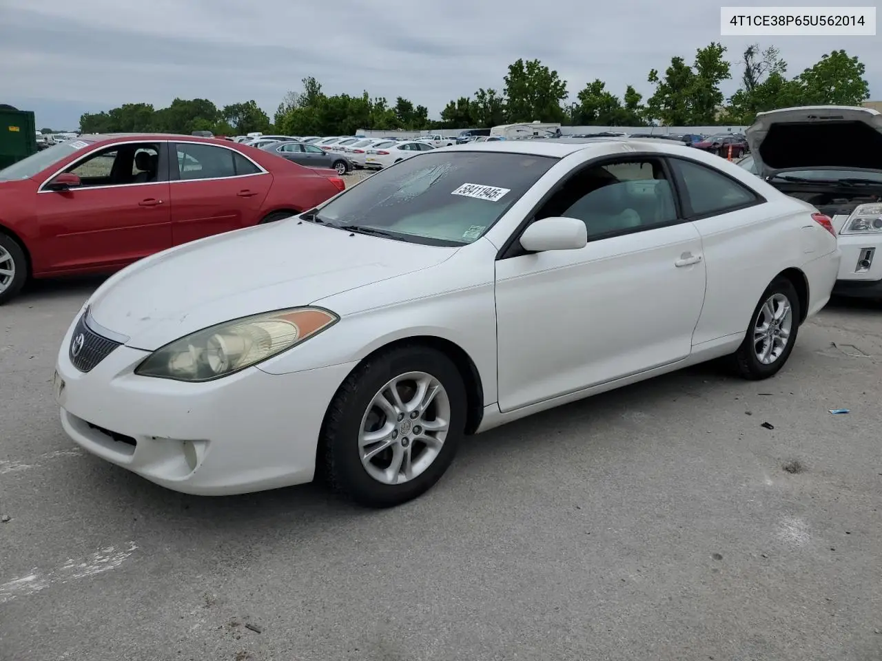 2005 Toyota Camry Solara Se VIN: 4T1CE38P65U562014 Lot: 58411945