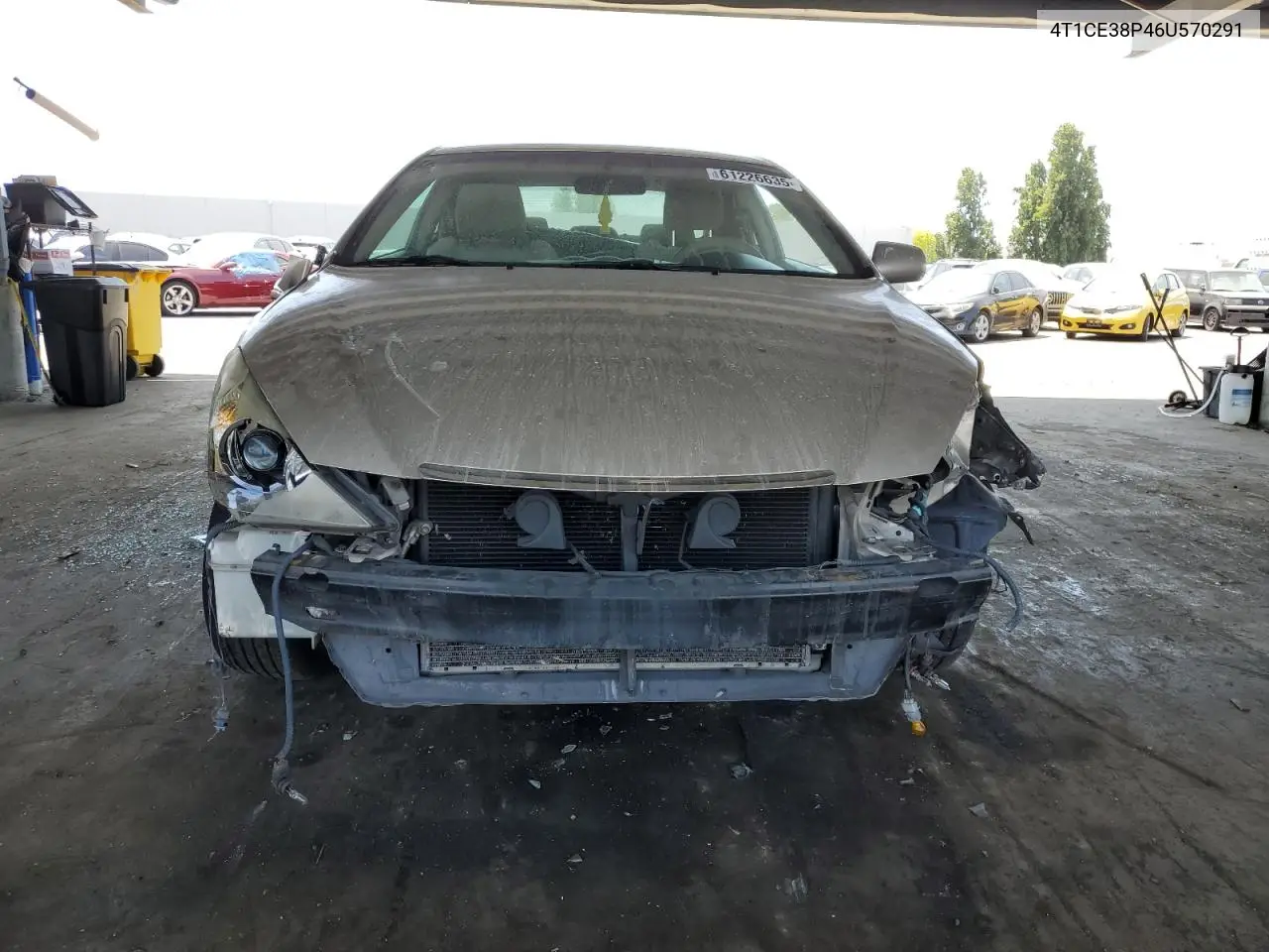 2006 Toyota Camry Solara Se VIN: 4T1CE38P46U570291 Lot: 61226635