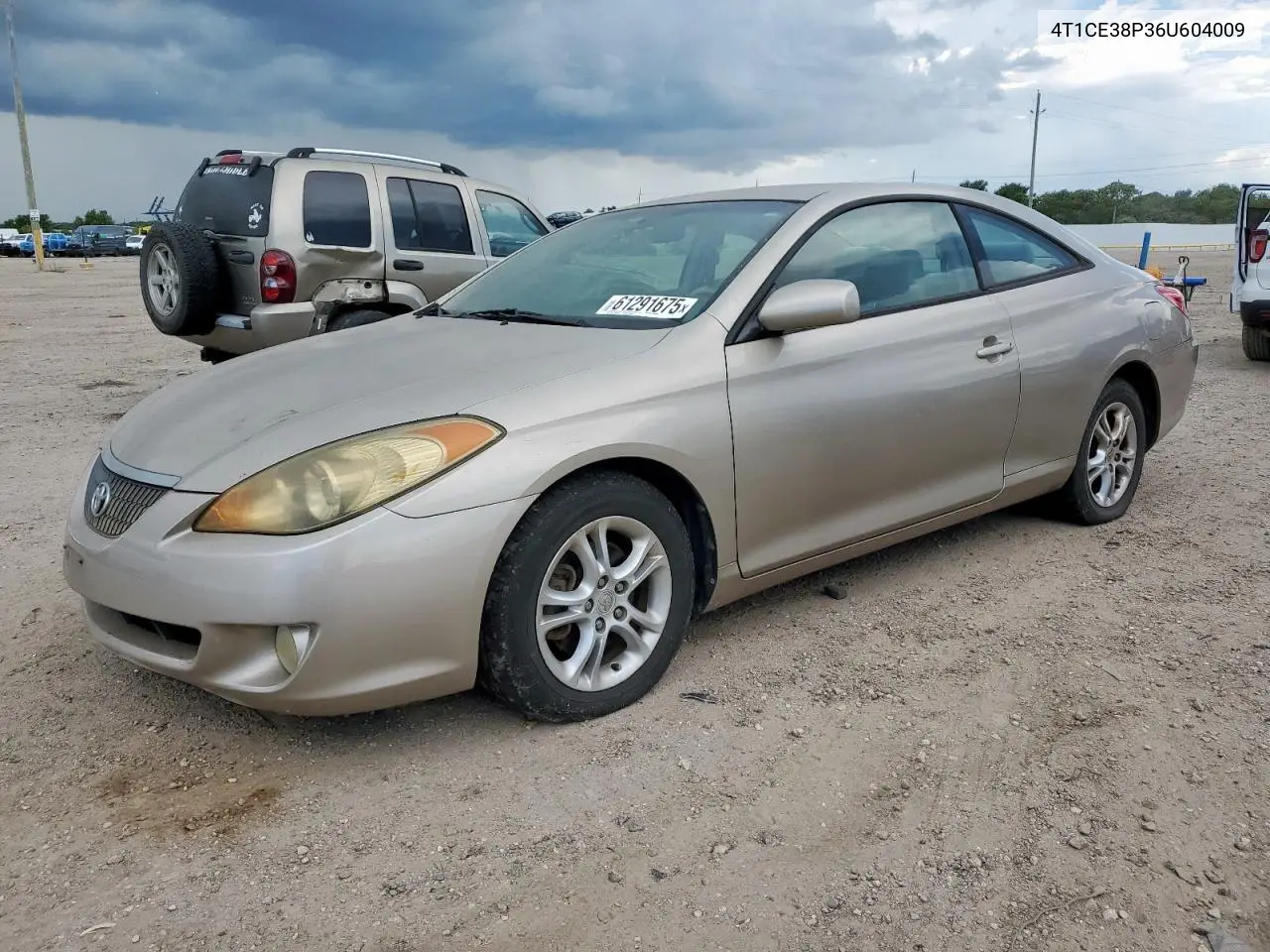 2006 Toyota Camry Solara Se VIN: 4T1CE38P36U604009 Lot: 61291675