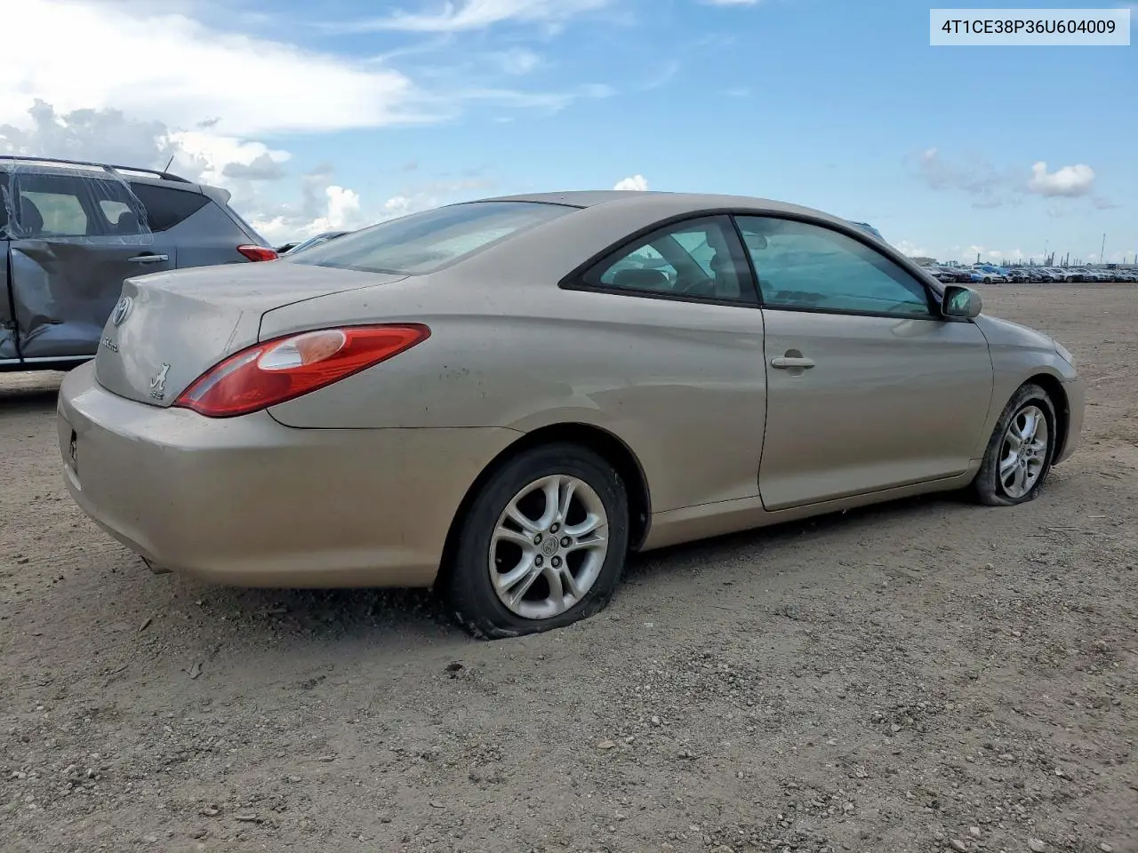 2006 Toyota Camry Solara Se VIN: 4T1CE38P36U604009 Lot: 61291675