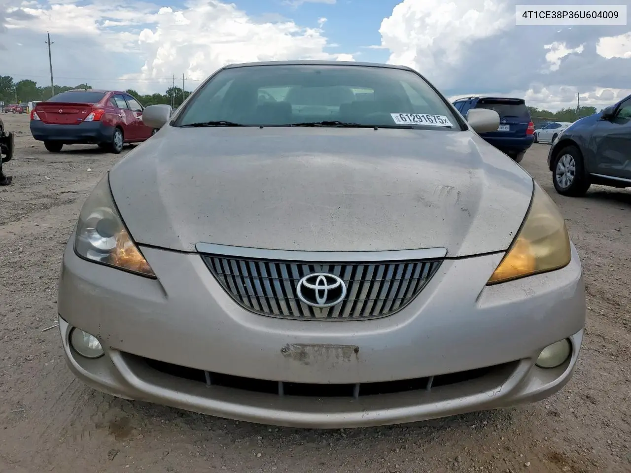 2006 Toyota Camry Solara Se VIN: 4T1CE38P36U604009 Lot: 61291675