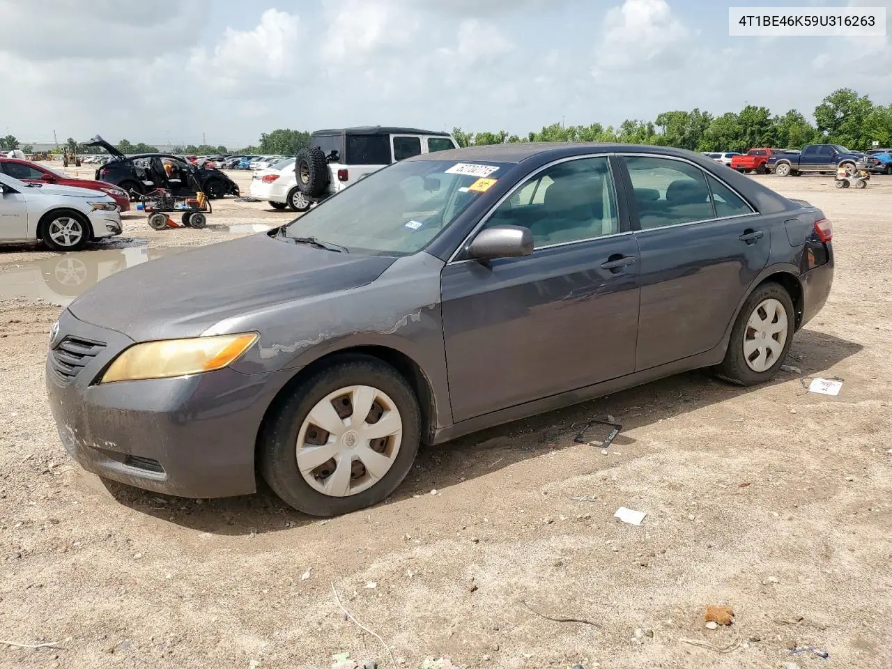 2009 Toyota Camry Base VIN: 4T1BE46K59U316263 Lot: 62702715