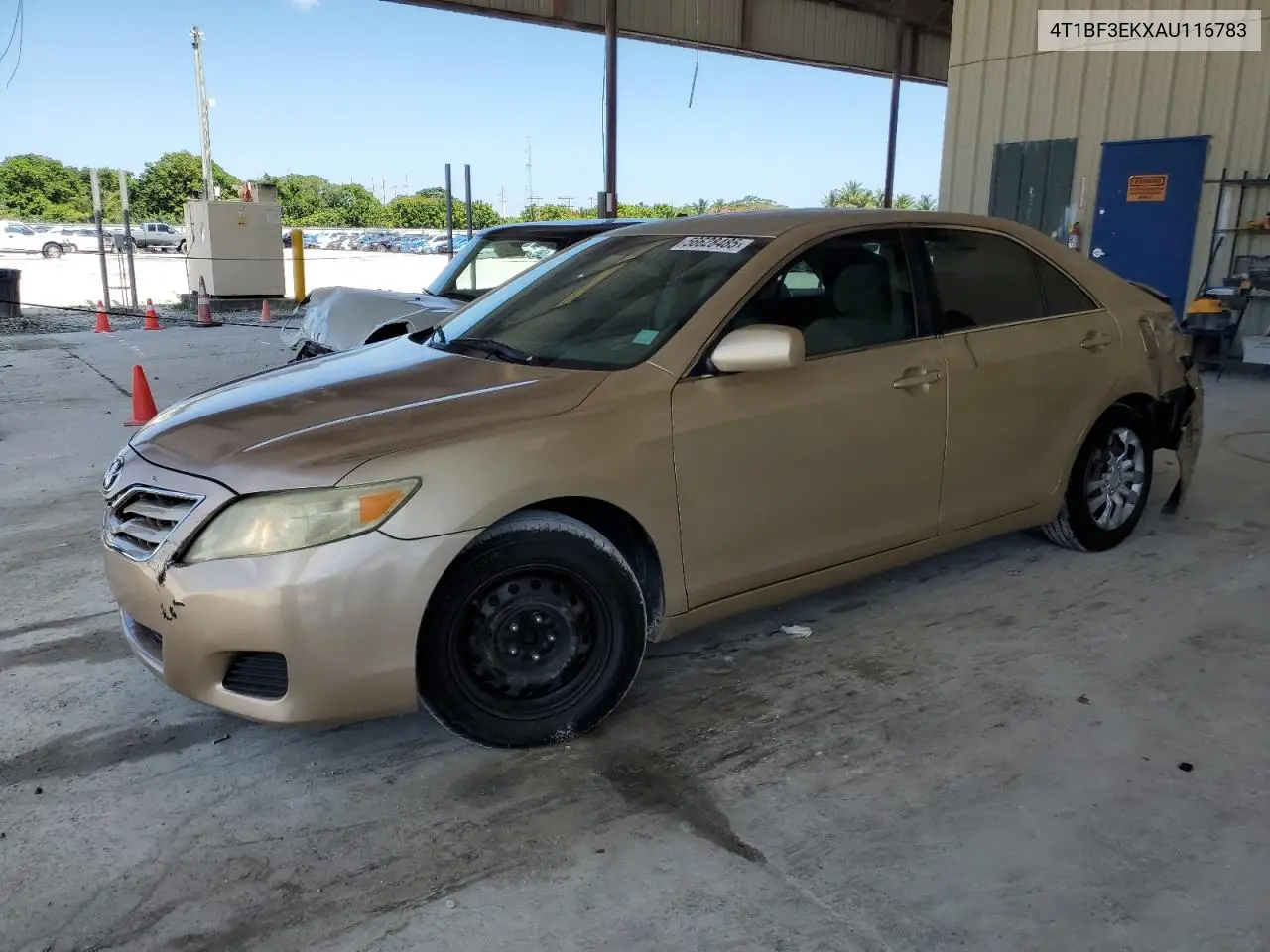 2010 Toyota Camry Base VIN: 4T1BF3EKXAU116783 Lot: 56628485