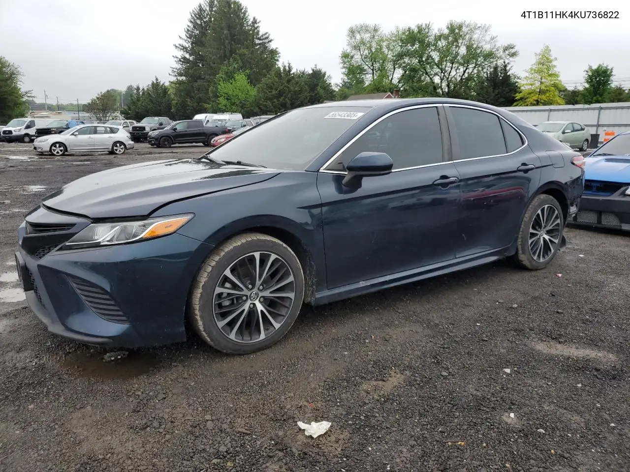 2019 Toyota Camry L VIN: 4T1B11HK4KU736822 Lot: 56543305