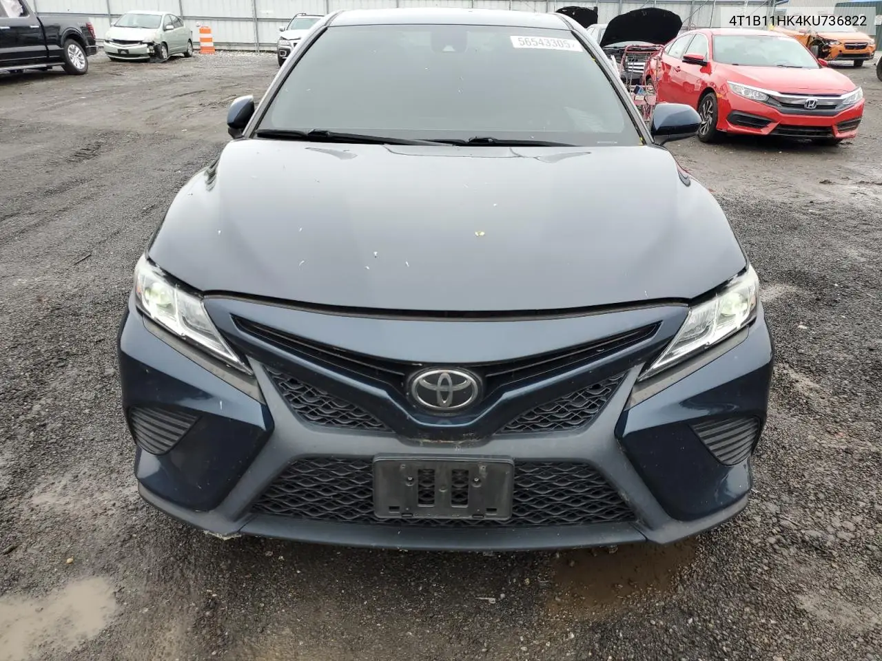 2019 Toyota Camry L VIN: 4T1B11HK4KU736822 Lot: 56543305