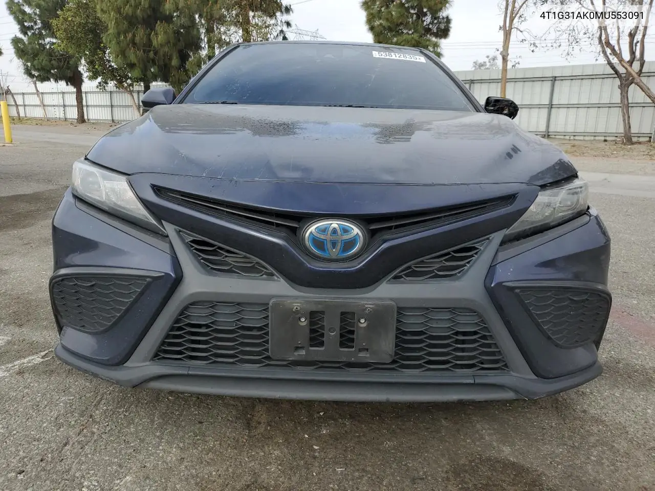 2021 Toyota Camry Se VIN: 4T1G31AK0MU553091 Lot: 53812835