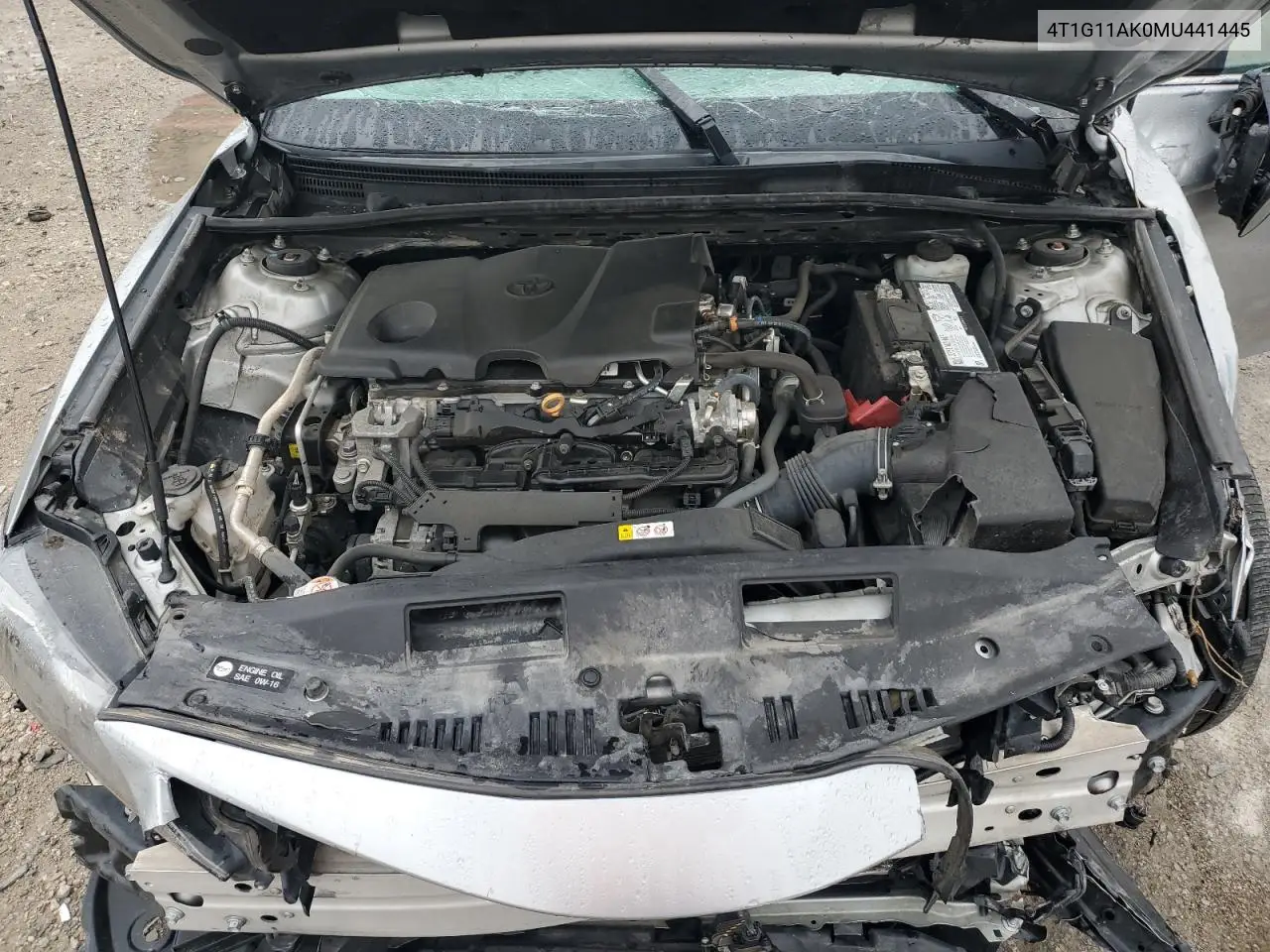 2021 Toyota Camry Se VIN: 4T1G11AK0MU441445 Lot: 54542205