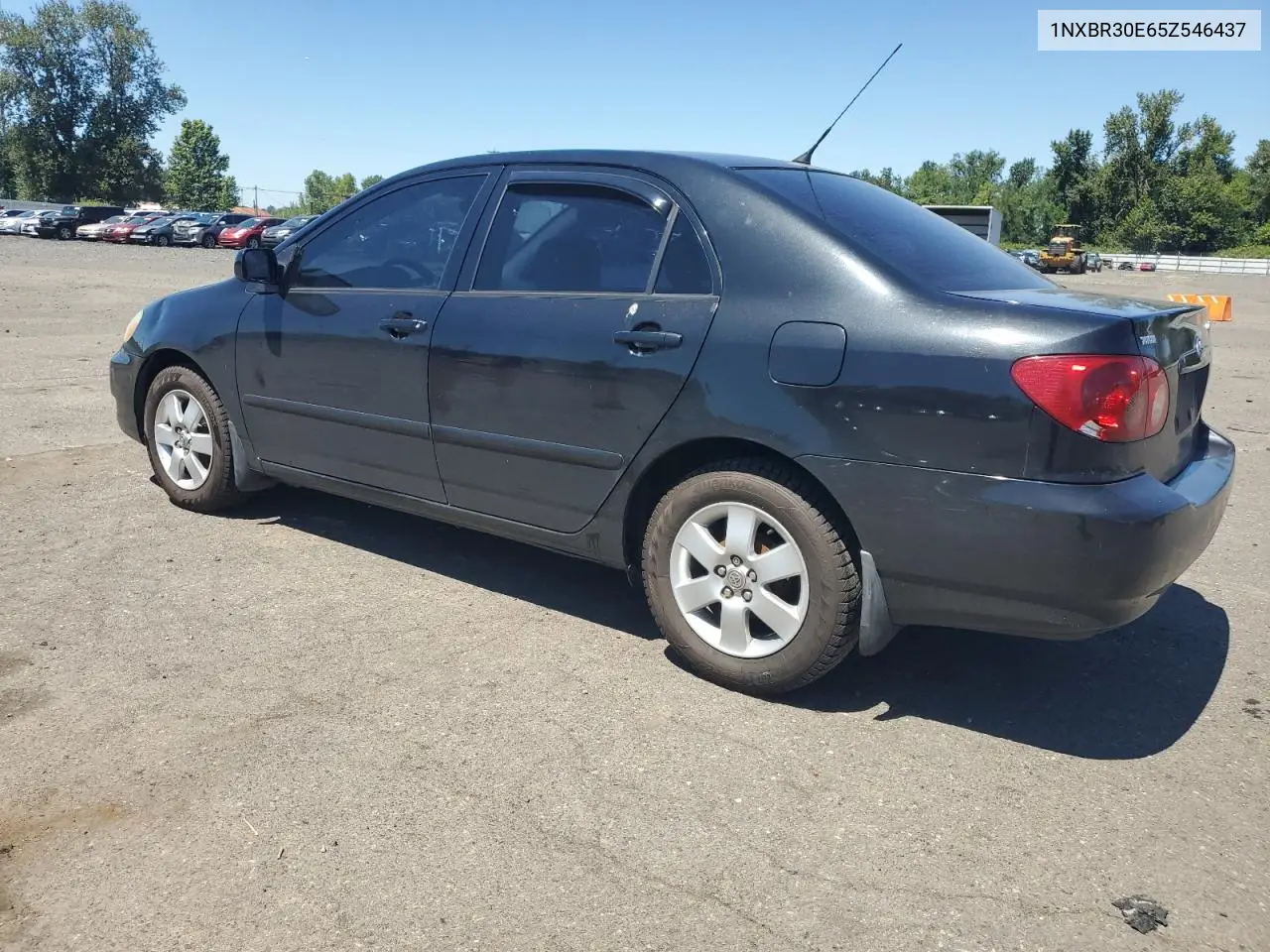 2005 Toyota Corolla Ce VIN: 1NXBR30E65Z546437 Lot: 63141845