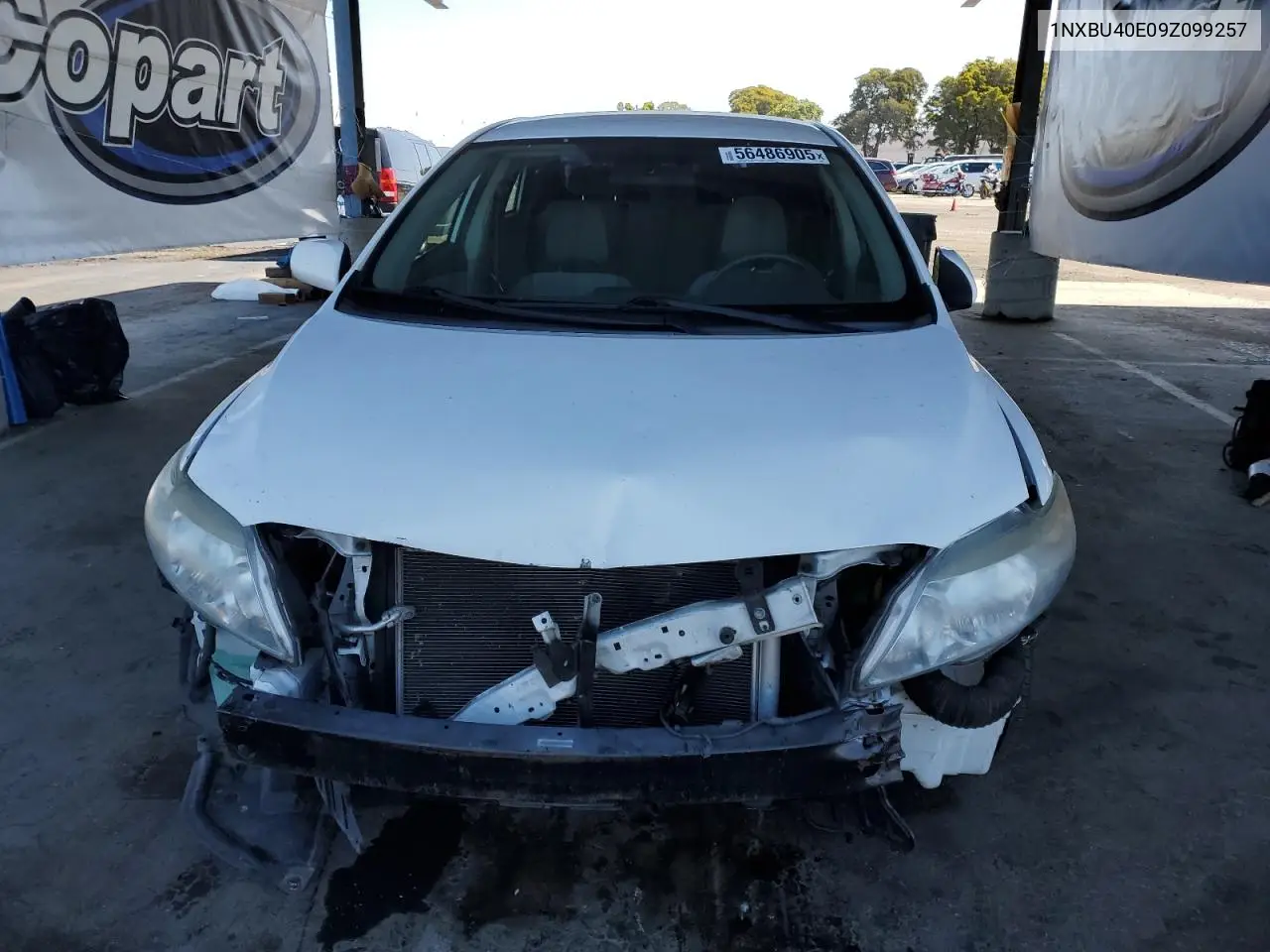 2009 Toyota Corolla Base VIN: 1NXBU40E09Z099257 Lot: 56486905