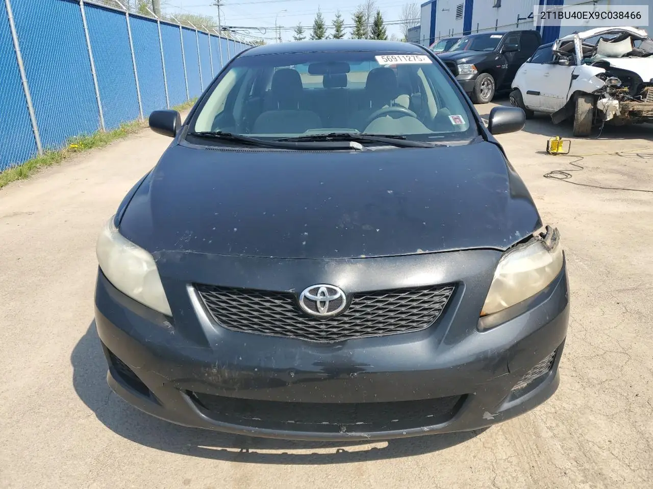 2009 Toyota Corolla Base VIN: 2T1BU40EX9C038466 Lot: 56911275