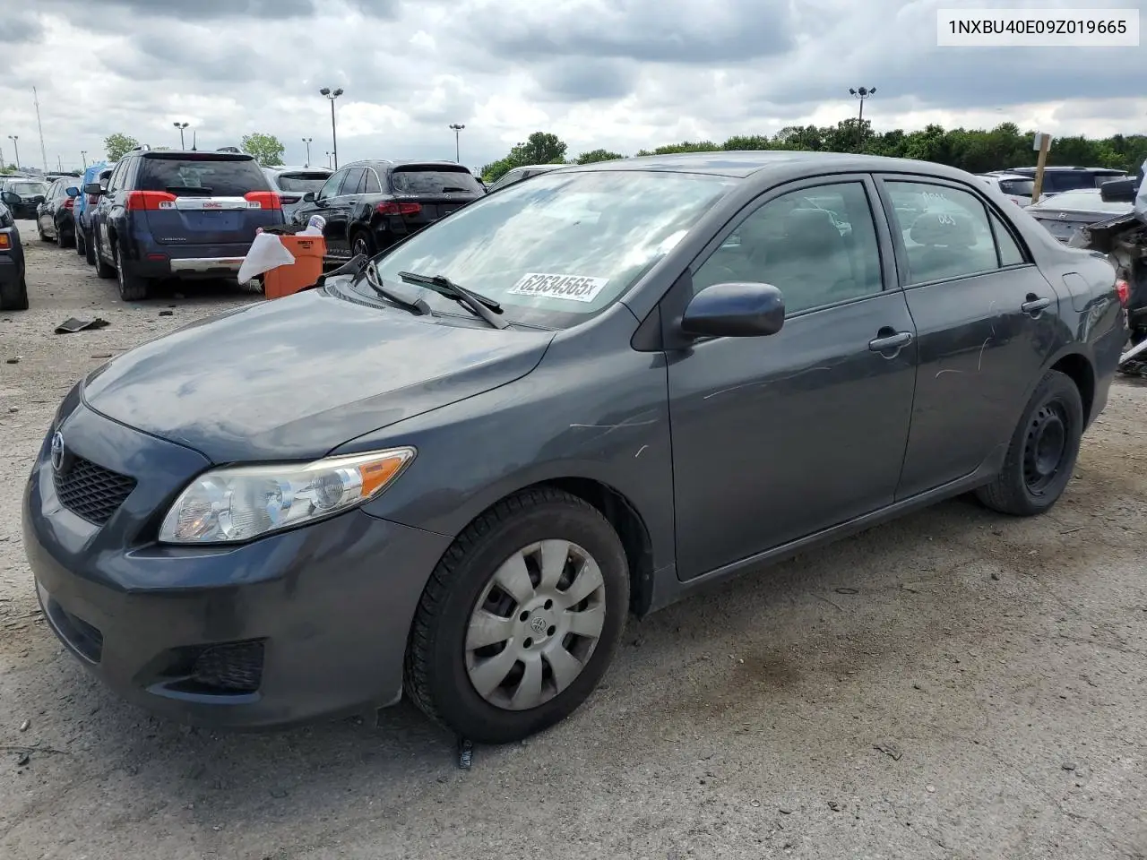 2009 Toyota Corolla Base VIN: 1NXBU40E09Z019665 Lot: 62634565