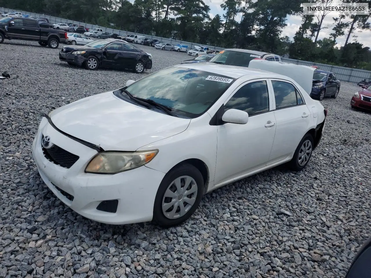 2010 Toyota Corolla Base VIN: 1NXBU4EE9AZ186653 Lot: 62839555
