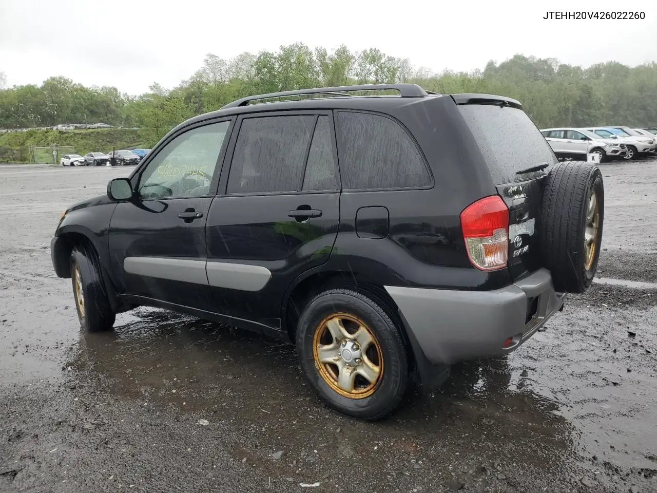 2002 Toyota Rav4 VIN: JTEHH20V426022260 Lot: 56052055