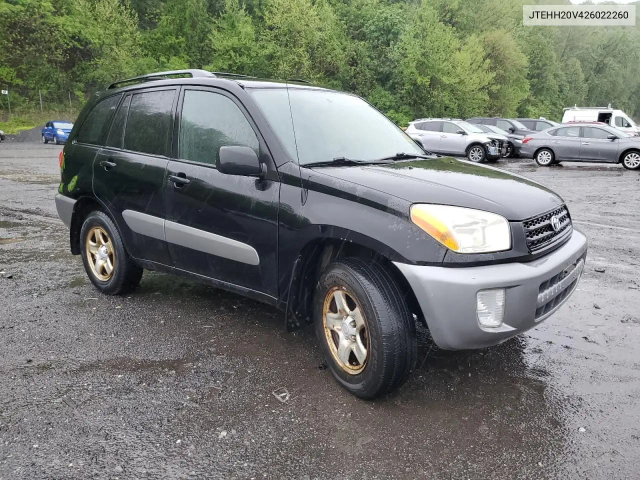 2002 Toyota Rav4 VIN: JTEHH20V426022260 Lot: 56052055