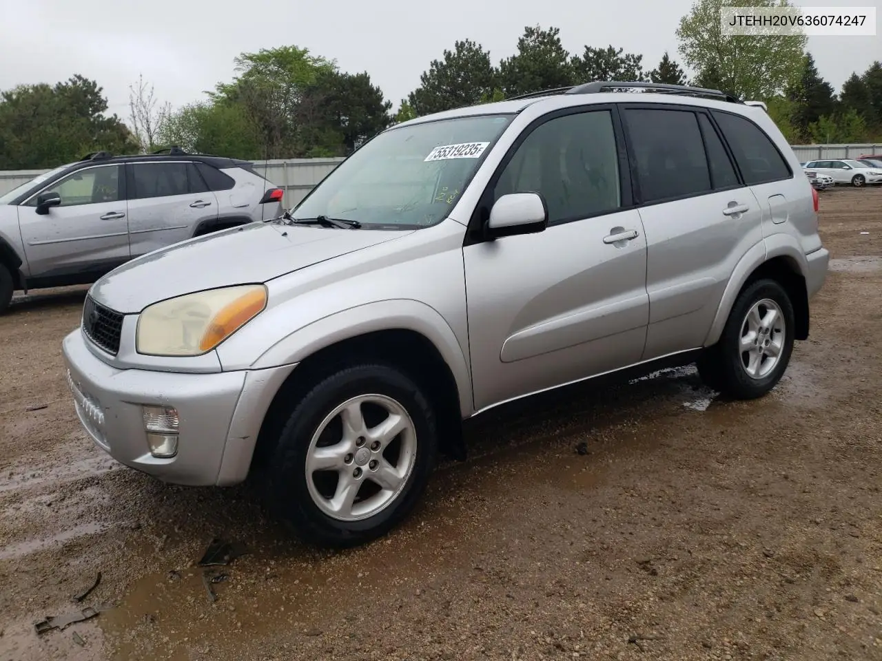 2003 Toyota Rav4 VIN: JTEHH20V636074247 Lot: 55319235
