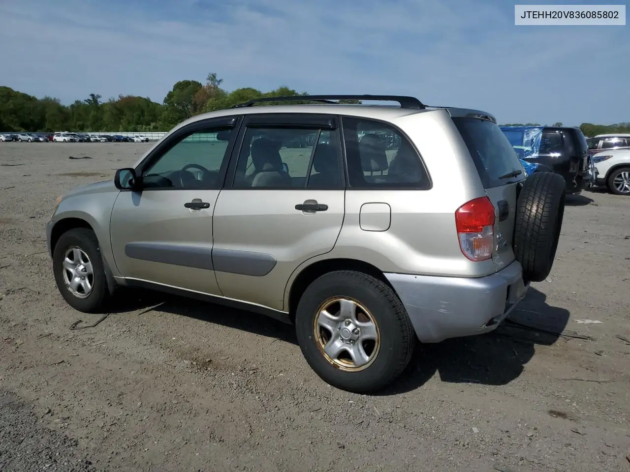 2003 Toyota Rav4 VIN: JTEHH20V836085802 Lot: 56282275