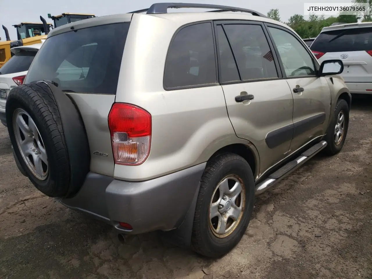 2003 Toyota Rav4 VIN: JTEHH20V136079565 Lot: 56372905