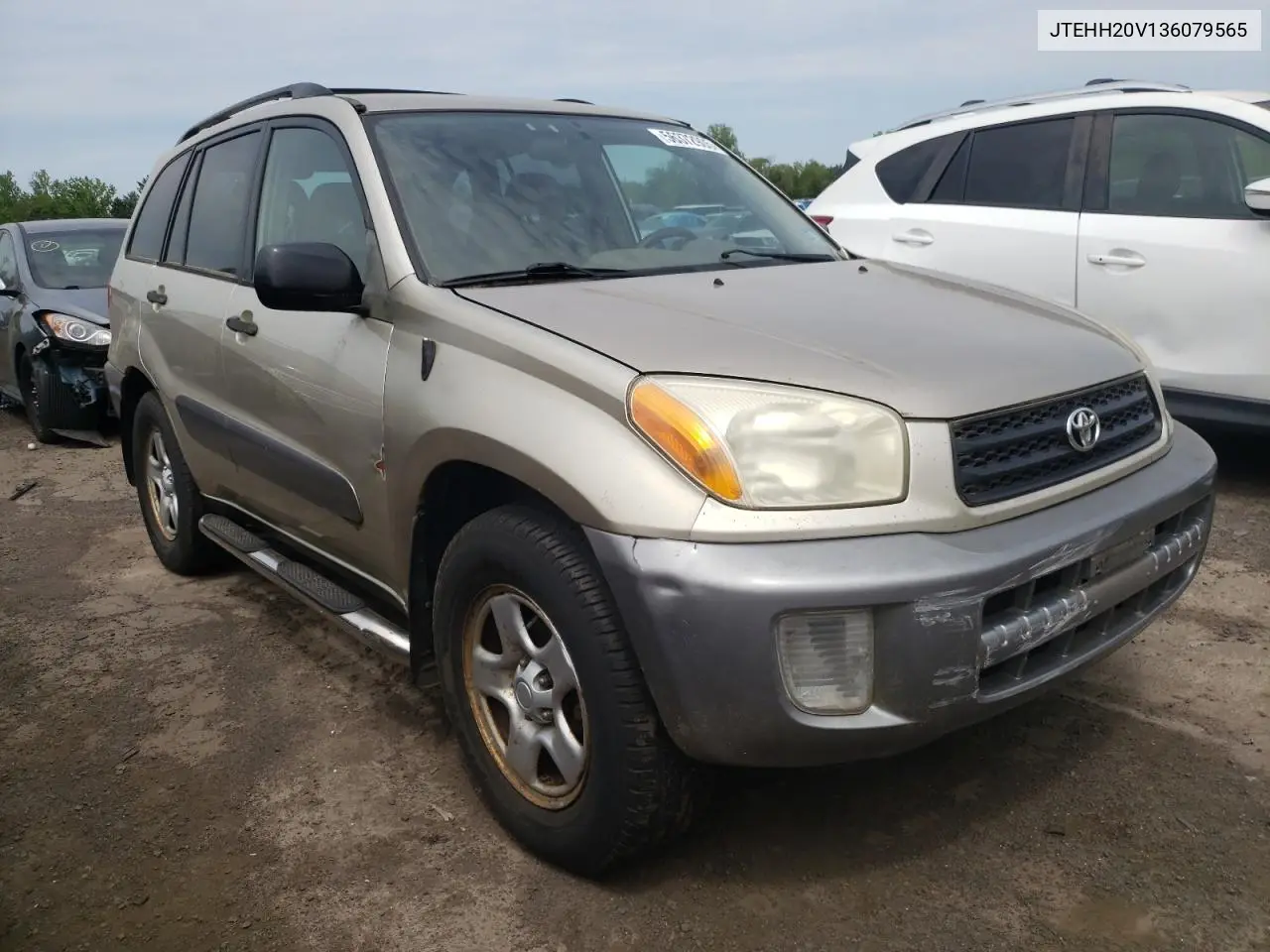 2003 Toyota Rav4 VIN: JTEHH20V136079565 Lot: 56372905