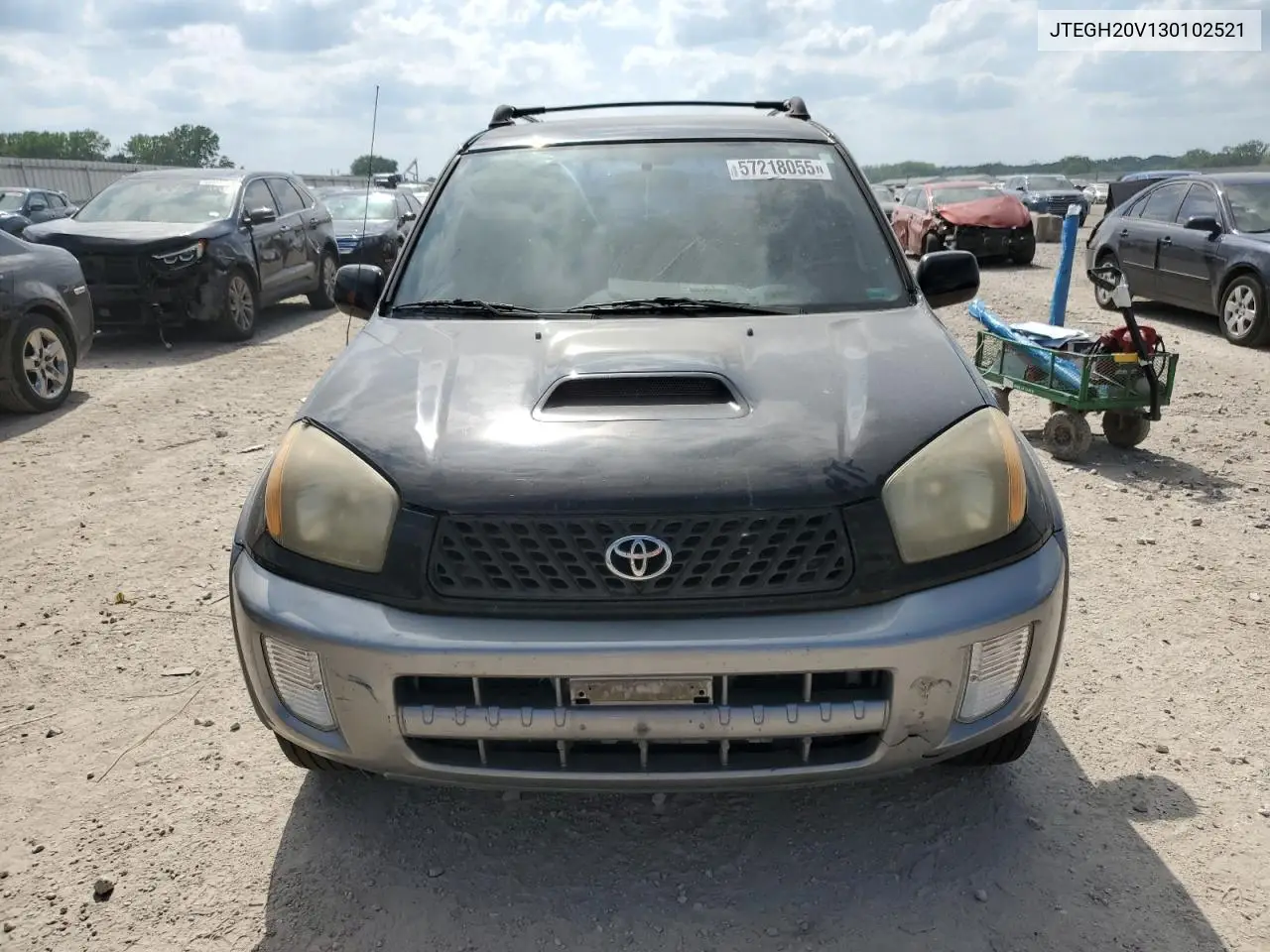 2003 Toyota Rav4 VIN: JTEGH20V130102521 Lot: 57218055