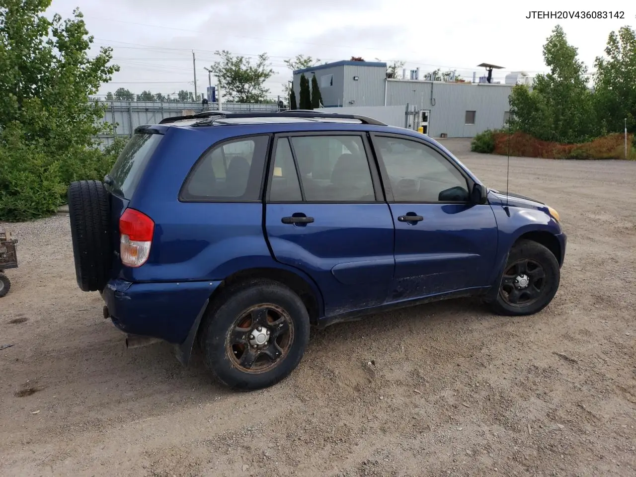2003 Toyota Rav4 VIN: JTEHH20V436083142 Lot: 61208125