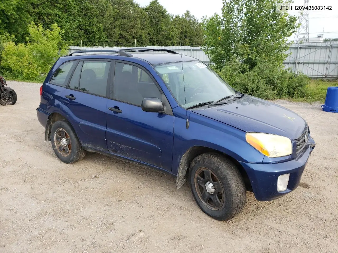 2003 Toyota Rav4 VIN: JTEHH20V436083142 Lot: 61208125