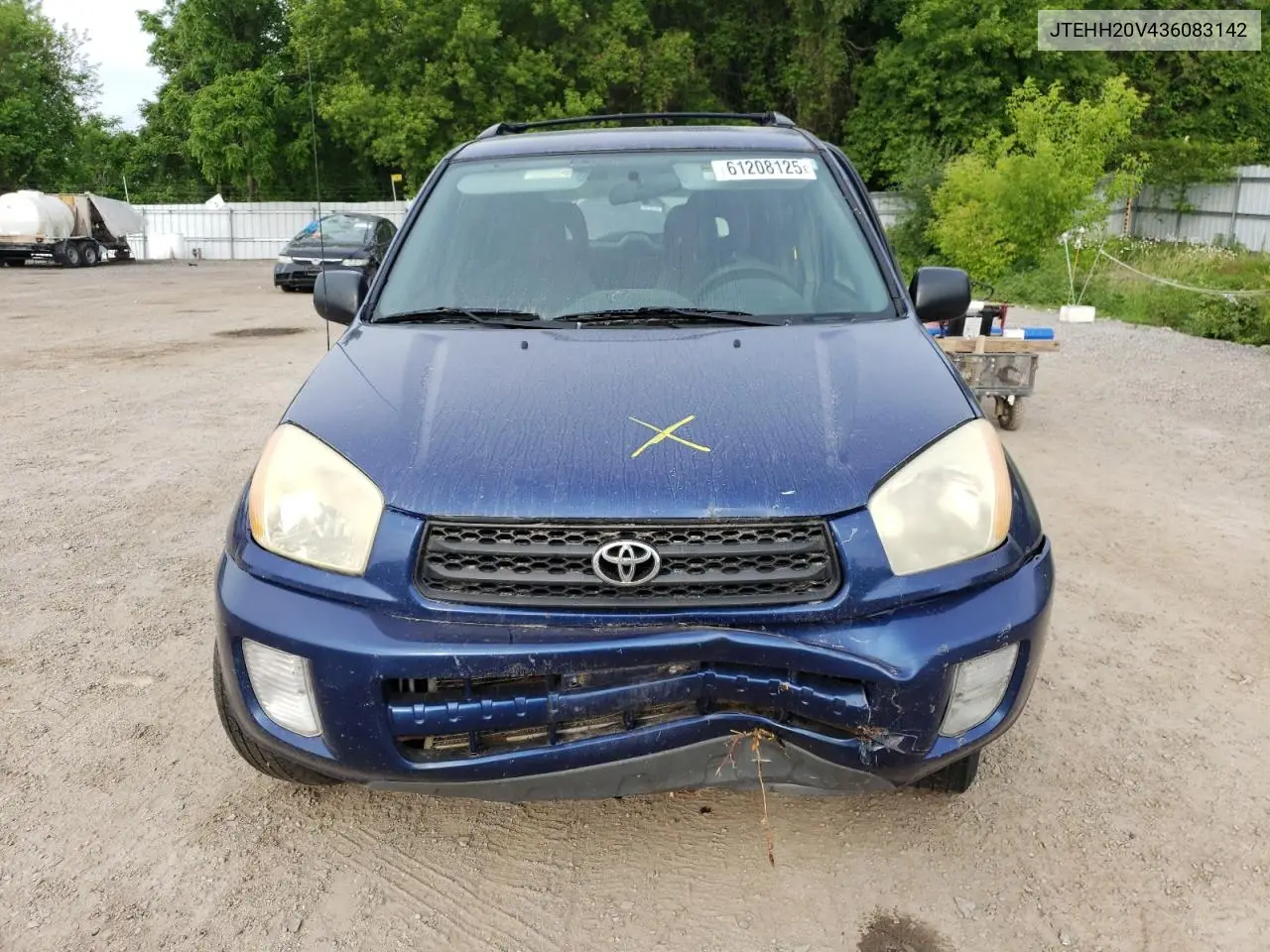 2003 Toyota Rav4 VIN: JTEHH20V436083142 Lot: 61208125