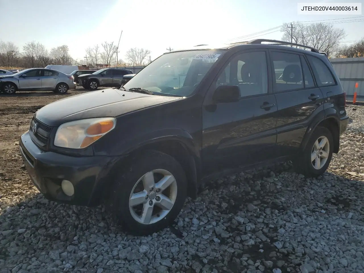 2004 Toyota Rav4 VIN: JTEHD20V440003614 Lot: 46427905