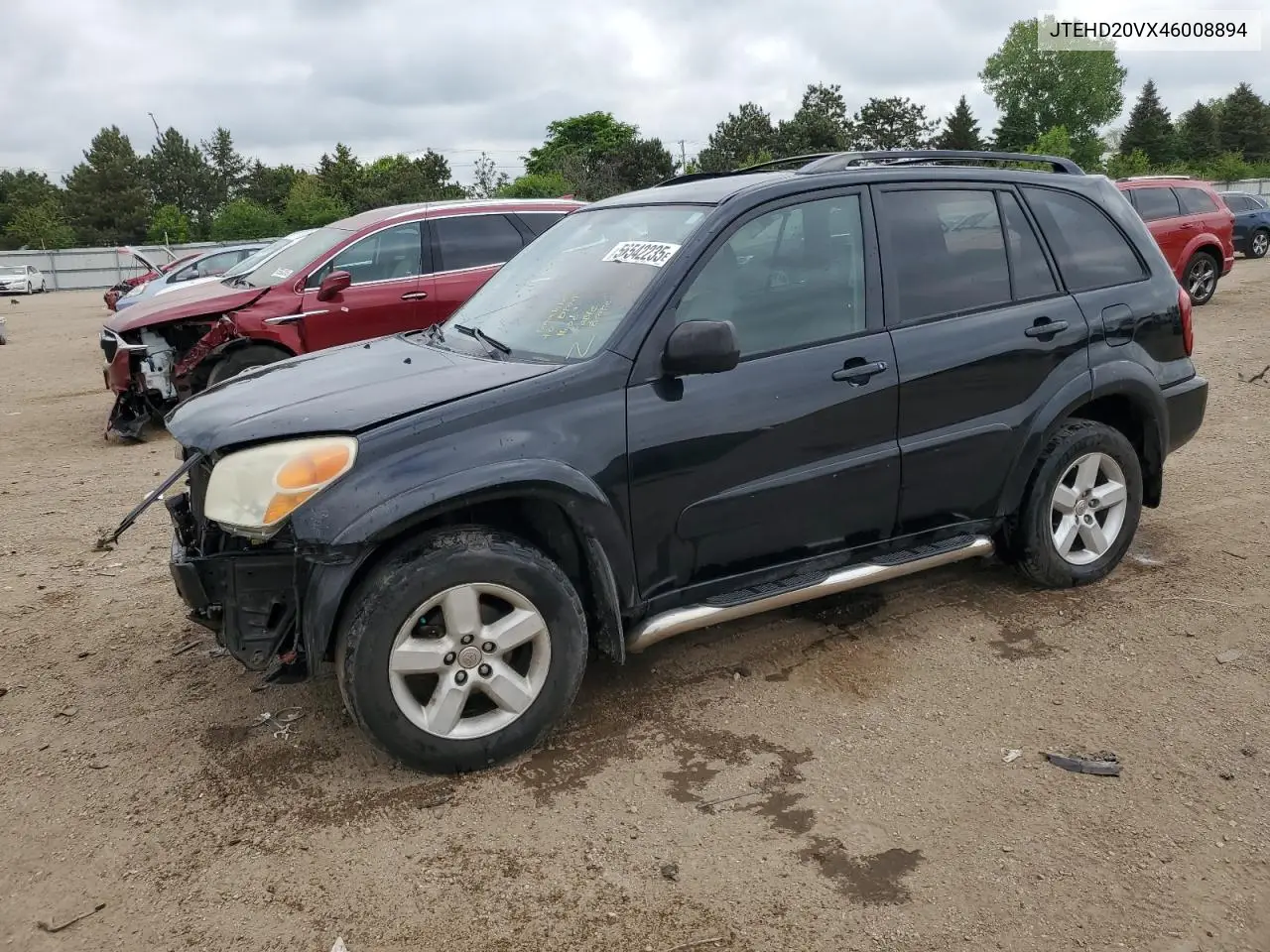 2004 Toyota Rav4 VIN: JTEHD20VX46008894 Lot: 56542235