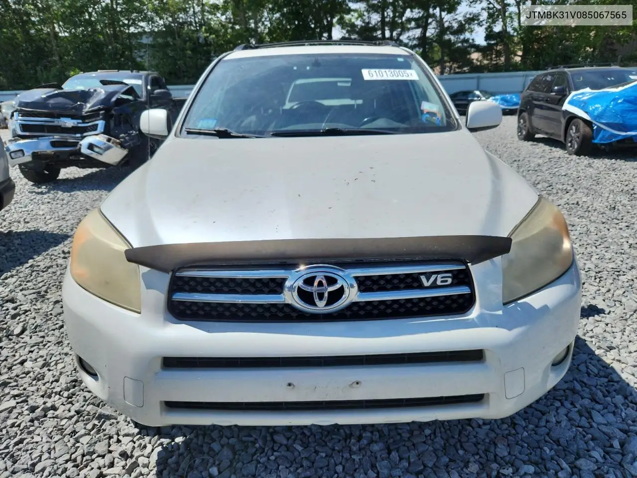 2008 Toyota Rav4 Limited VIN: JTMBK31V085067565 Lot: 61013005