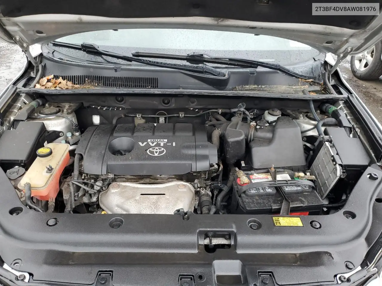 2010 Toyota Rav4 VIN: 2T3BF4DV8AW081976 Lot: 56821295